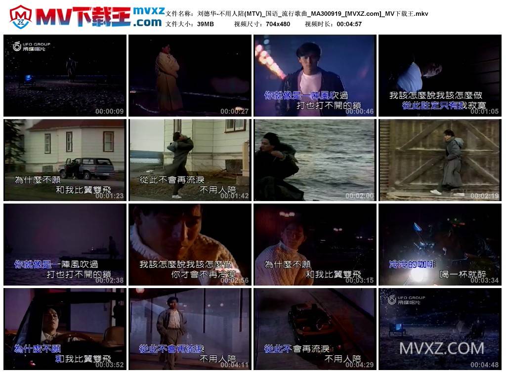 刘德华-不用人陪(MTV)_国语_流行歌曲_MA300919